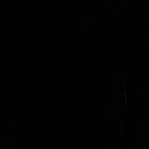 Meet your Posher, Arielis